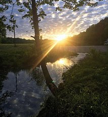 IMG_2322~3